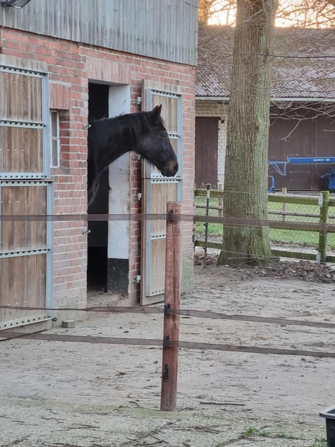 Ferienwohnung Noltenius Bulstedt Buitenkant foto